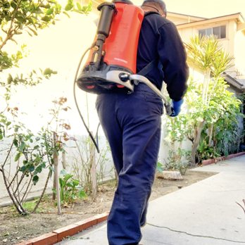 Pest Flex - THATS ME..DOING AN EXTERIOR PERIMETER TREATMENT. - Pest Control Near Me Pest Flex - THATS ME..DOING AN EXTERIOR PERIMETER TREATMENT. - Pest Control Near Me