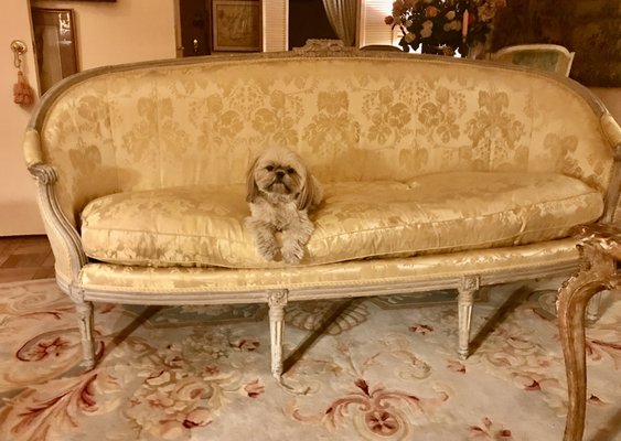 Alexander & Sons Upholstery