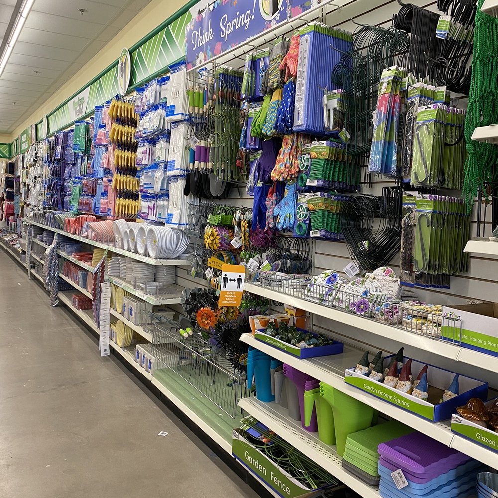 Dollar Tree - Discount Store Near Me - North Las Vegas, Nevada Dollar Tree - Discount Store Near Me - North Las Vegas, Nevada