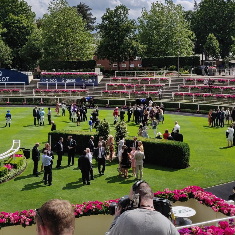 Ascot Racecourse - Horseback Riding Near Me - Bracknell Forest, WNM