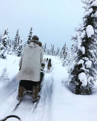 Alaska Homestead Adventures by null