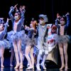 Ramon Moreno School of Ballet gift card