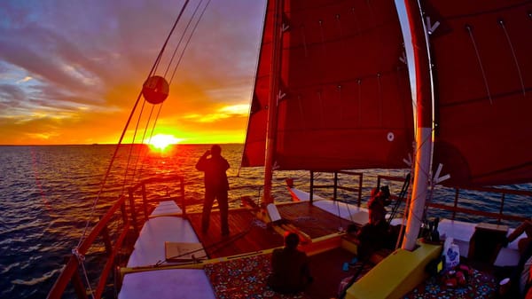 Sailing Montauk's Catamaran Mon Tiki by null