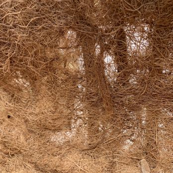 The Home Depot - This is the quality of $20 coco coir basket - Nurseries & Gardening Near Me - Jacksonville, Florida The Home Depot - This is the quality of $20 coco coir basket - Nurseries & Gardening Near Me - Jacksonville, Florida