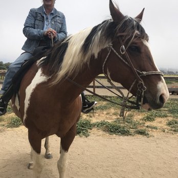 Pacific Dunes Riding Ranch - Horseback Riding Near Me - Oceano, California Pacific Dunes Riding Ranch - Horseback Riding Near Me - Oceano, California