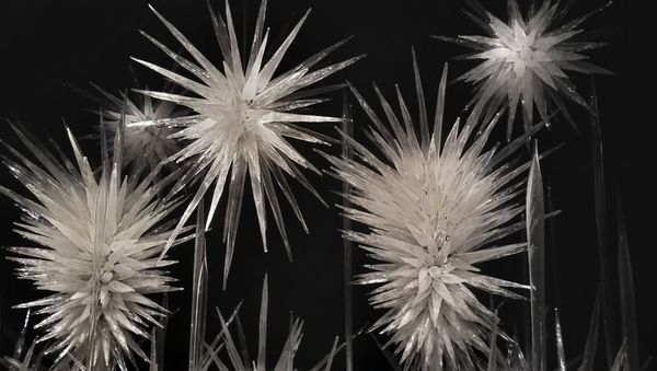 Chihuly Garden and Glass by null Chihuly Garden and Glass by null