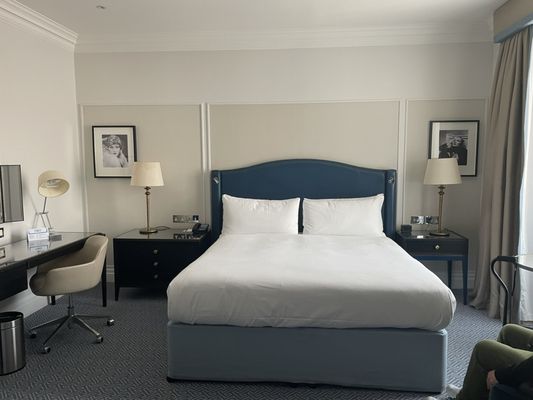 The Waldorf Hilton, London by null