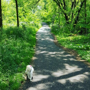 Heidi's Happy Hounds - Pet Sitting Near Me - Guelph, Ontario Heidi's Happy Hounds - Pet Sitting Near Me - Guelph, Ontario