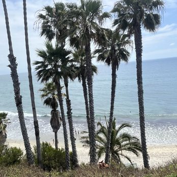 Swami's Seaside Park - View from the parking lot - Parks Near Me - Encinitas, California Swami's Seaside Park - View from the parking lot - Parks Near Me - Encinitas, California