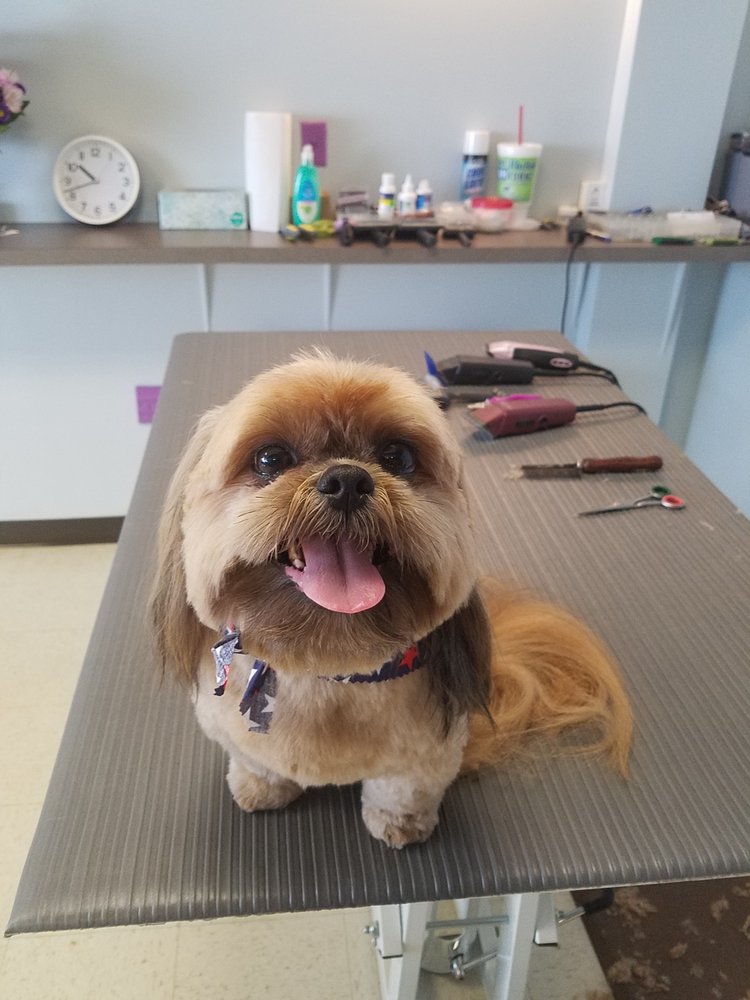 AMANDA’S DOG SALON Updated October 2024 737 North Park Dr