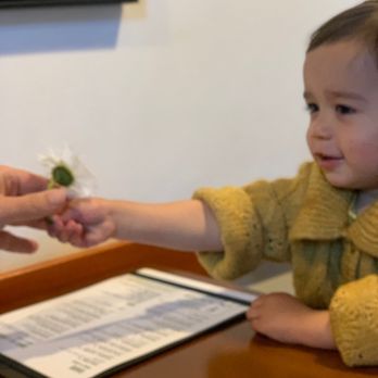 Cascade - Kid friendly - American Near Me - Pescadero, California