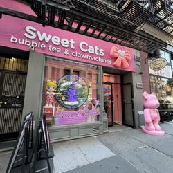 Sweet Cats Cafe