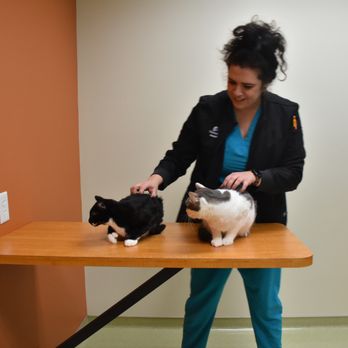 HELEN WOODWARD ANIMAL CENTER COMPANION ANIMAL HOSPITAL - Updated