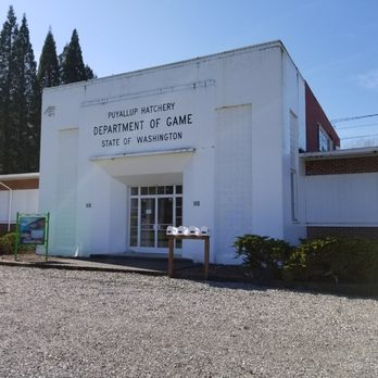 Puyallup Trout Hatchery - Community Service/Non-Profit Near Me - Puyallup, Washington Puyallup Trout Hatchery - Community Service/Non-Profit Near Me - Puyallup, Washington