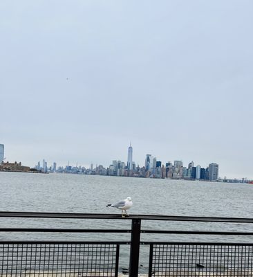 Liberty Island by null