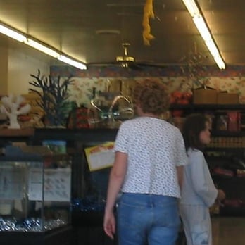 Coral Reef Pet Center - Pet Stores Near Me - Norridge, Illinois