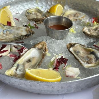 Ascione Bistro - Fresh 1/2 Dozen Oysters - Italian Near Me - Chicago, Illinois
