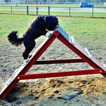 Park Township Dog Park - Climbing triangle - Dog Parks Near Me - Holland, Michigan