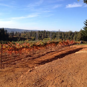 Wofford Acres Vineyards - a horse in a vineyard - Wineries Near Me - Camino, California Wofford Acres Vineyards - a horse in a vineyard - Wineries Near Me - Camino, California