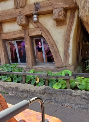 Seven Dwarfs Mine Train by null
