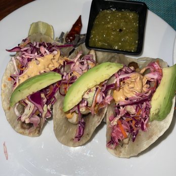 Aleta - Grilled Fish Tacos - Seafood Near Me - Cabo San Lucas, BCS Aleta - Grilled Fish Tacos - Seafood Near Me - Cabo San Lucas, BCS