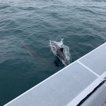 Oceanside Adventures - Boat Charters Near Me - Oceanside, California