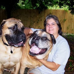 Homestyle Dog Care
