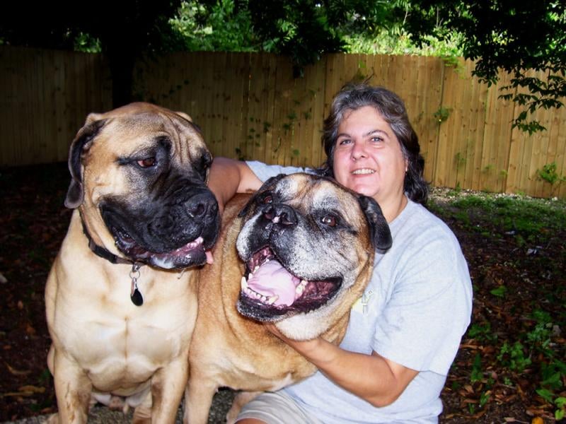 Homestyle Dog Care Image
