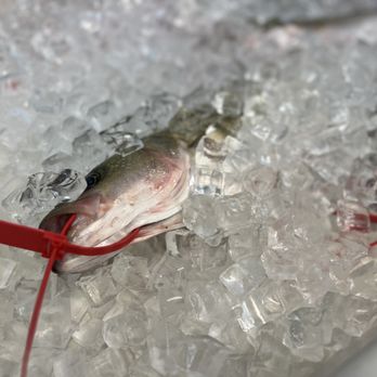 Wild Country Seafood - a dead fish on ice - Seafood Markets Near Me - Annapolis, Maryland Wild Country Seafood - a dead fish on ice - Seafood Markets Near Me - Annapolis, Maryland