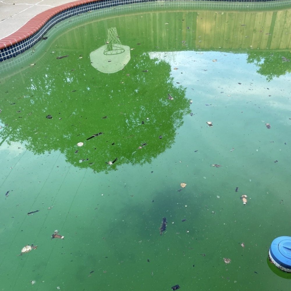 Blue Light Pools - Before - Pool Cleaners Near Me