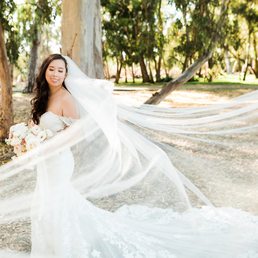 Wedding Dress and Veil Photo Wedding Dress and Veil Photo
