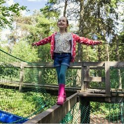 Broom House Farm - Forest Adventure