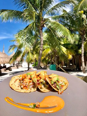 Mandarina Seaside restaurant by null