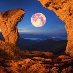 American Luxury Tours