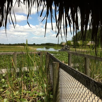 Billie Swamp Safari - Zoos Near Me - Clewiston, Florida Billie Swamp Safari - Zoos Near Me - Clewiston, Florida