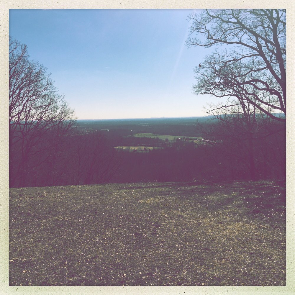 Clark State Forest - View from one of the picnic areas - Parks Near Me Clark State Forest - View from one of the picnic areas - Parks Near Me