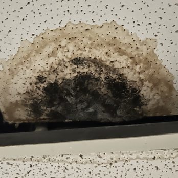 Premier Restoration - We Rid of Mold issues! - Air Duct Cleaning Near Me - Lexington, Kentucky Premier Restoration - We Rid of Mold issues! - Air Duct Cleaning Near Me - Lexington, Kentucky