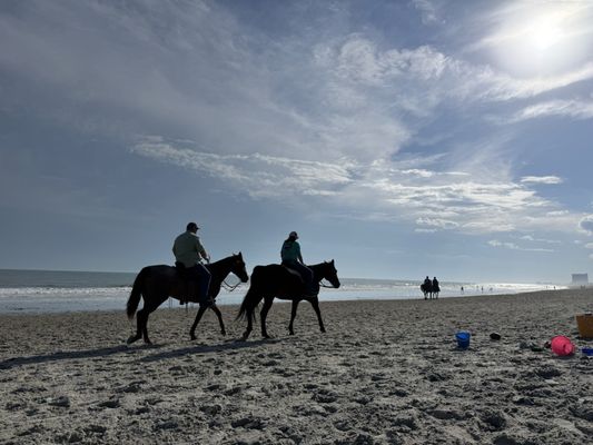 Myrtle Beach State Park by null