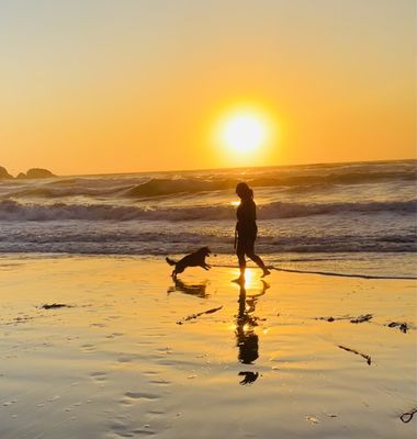 Plaskett Creek Campground by null