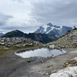 Mt Baker Ski Area