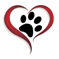 Pet Watch