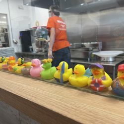 Duck Donuts - Lots of ducks