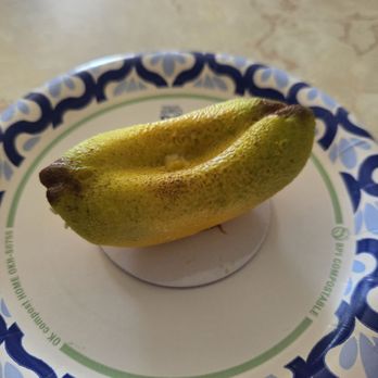 Dar Rafiki’s - Banana trompe l'oeil - Bakeries Near Me - Haverhill, Massachusetts