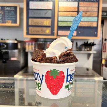 BerryLine - Ice Cream & Frozen Yogurt Near Me - Cambridge, Massachusetts