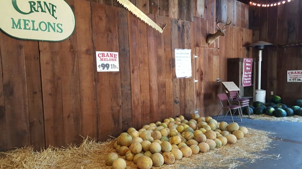 Crane Melon Barn by null