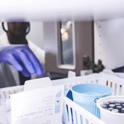 Ellenton Family Dental