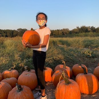 Sweet Eats Adventure Farm - Attraction Farms Near Me - Georgetown, Texas