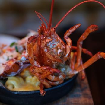 Yardbird - Lobster Mac & Cheese - Southern Near Me - Dallas, Texas Yardbird - Lobster Mac & Cheese - Southern Near Me - Dallas, Texas