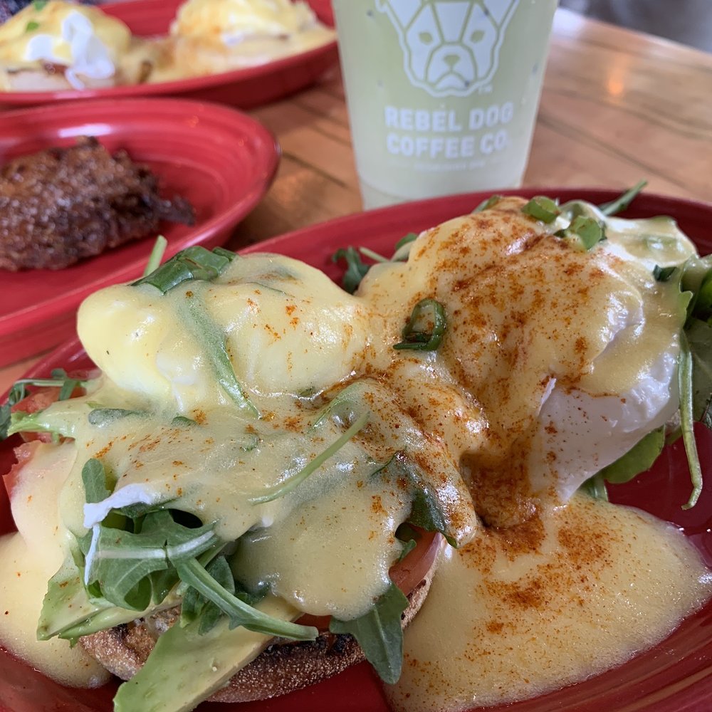 Rebel Dog Coffee Co. FARMINGTON - Santa Monica Benedict - Coffee & Tea Near Me - Farmington, Connecticut Rebel Dog Coffee Co. FARMINGTON - Santa Monica Benedict - Coffee & Tea Near Me - Farmington, Connecticut