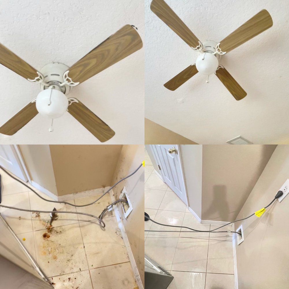 ALL HOMES CLEANING SERVICE 19 Photos Altamonte Springs, Florida